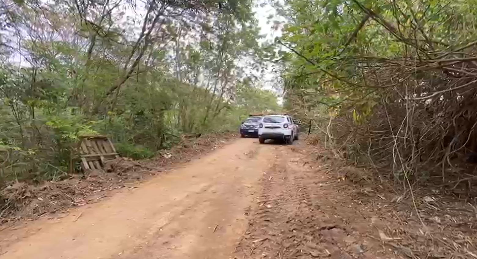 Corpo de homem é encontrado com ferimentos no rosto e na cabeça em Campinas