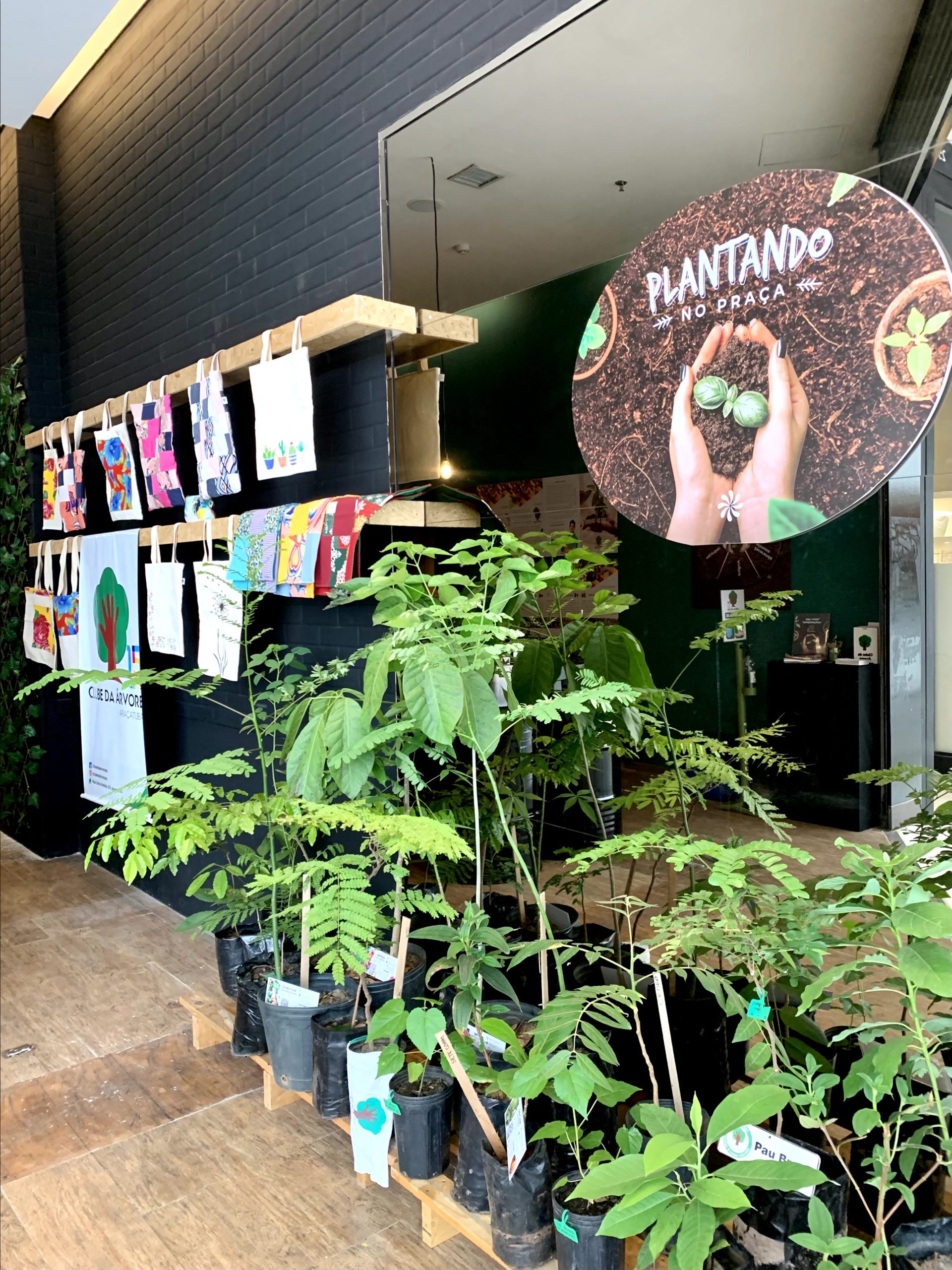 ‘Plantando no Praça’ celebra o Dia da Árvore em Araçatuba