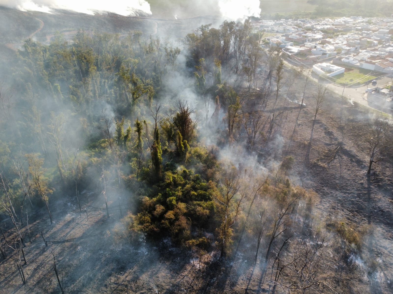 Corpo é encontrado em canavial após incêndio em Piracicaba