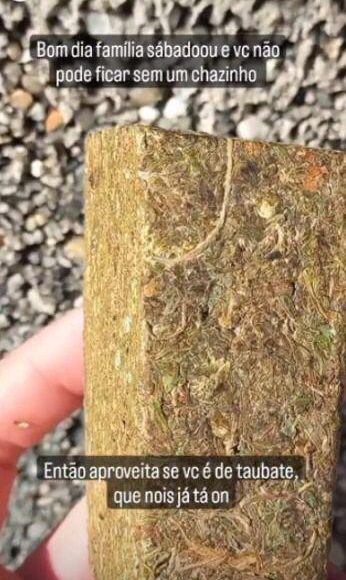 drogas no campus unitau