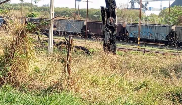 Criança de 10 anos perde dois dedos do pé ao tentar subir em trem em movimento, em Ribeirão Preto
