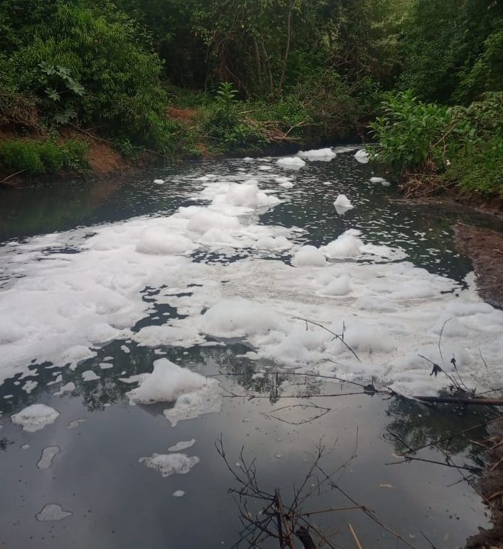 Poluição: Espuma não identificada aparece no Ribeirão Cachoeira em Piracicaba