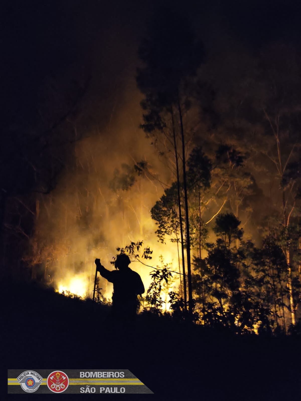 incêndios em áreas de mata em sfx