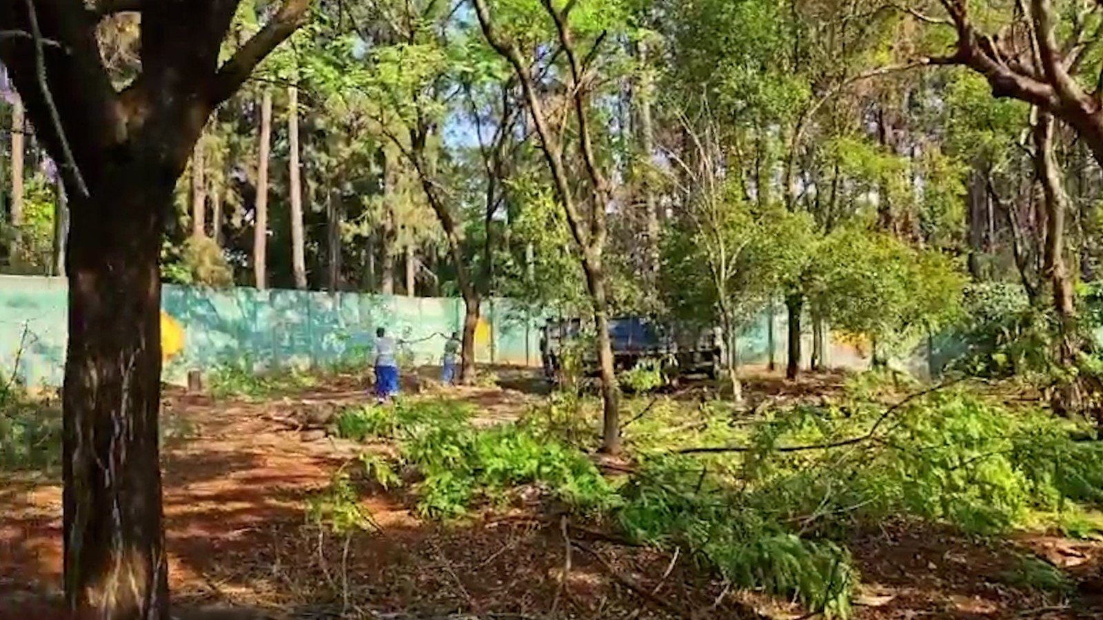 WhatsApp Image 2023-09-26 at 09.30.09