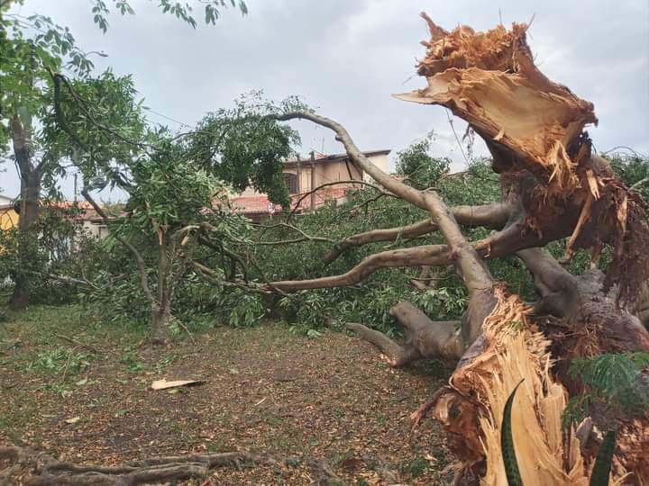 EDP registra mais de 1,6 mil ocorrências na rede elétrica após fortes chuvas na região