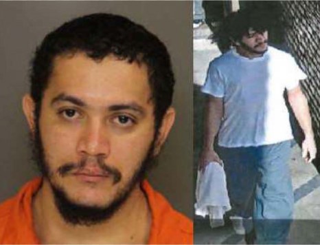 brasileiro fortagido