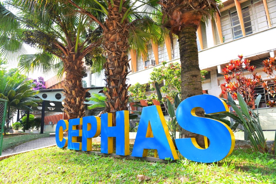 Cephas abre 2,4 mil vagas para cursos EaD gratuitos