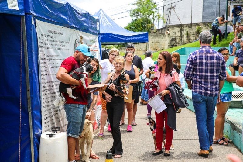 Vinhedo abre agendamentos para castração gratuita de Pets