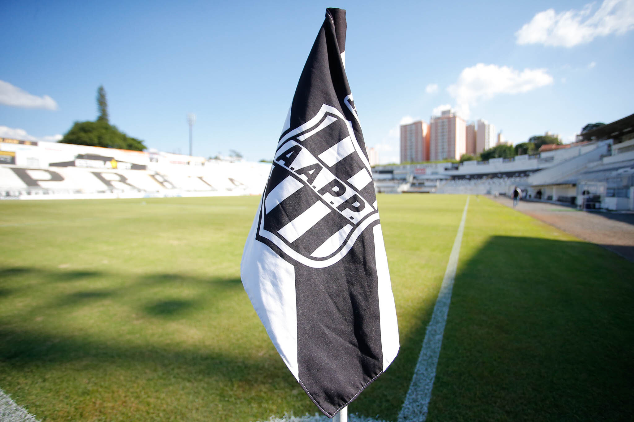 52790499702_559f416ca7_k