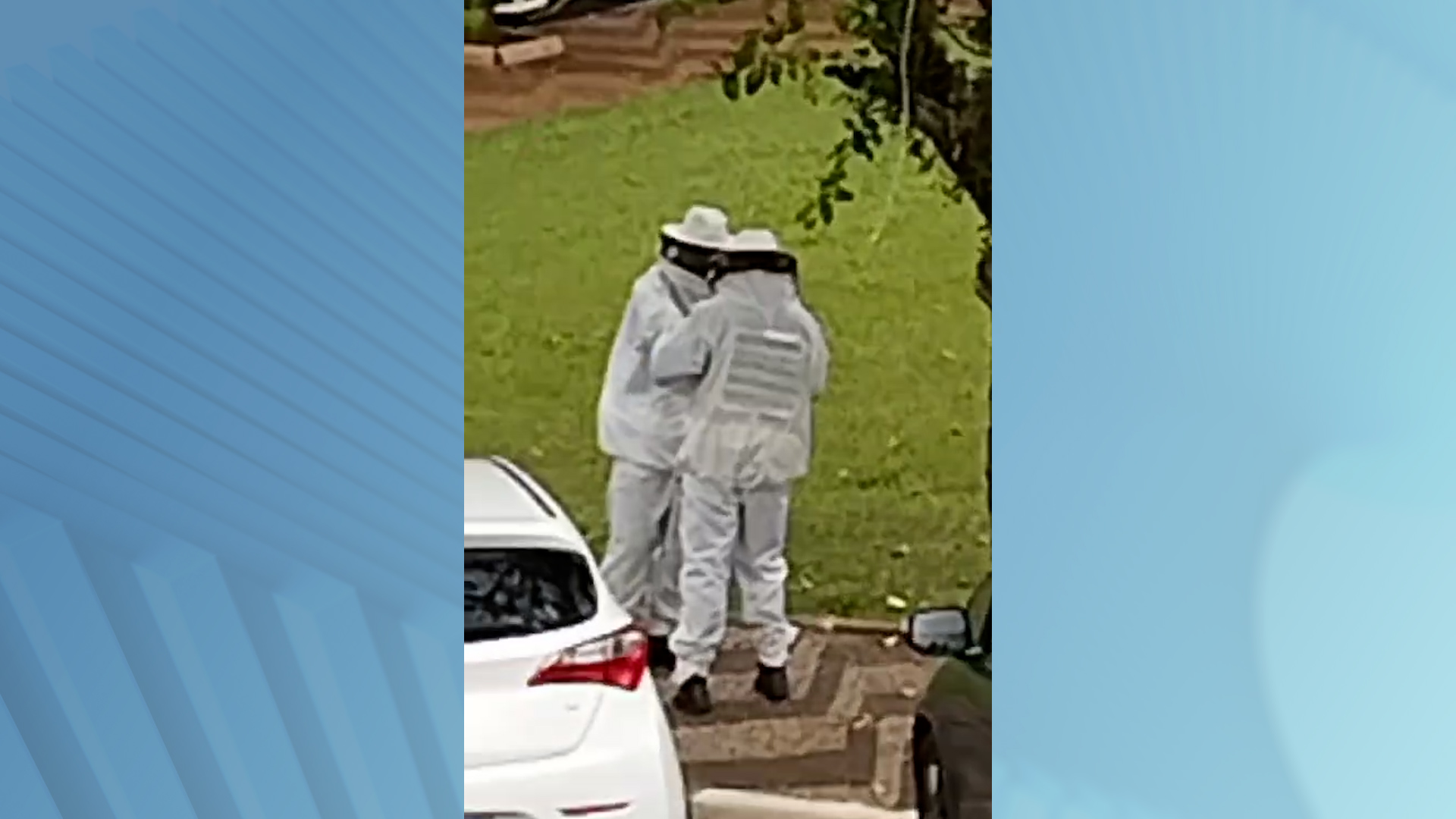 Ataque de abelhas deixa feridos em Mogi Guaçu Ataque de abelhas deixa feridos em Mogi Guaçu