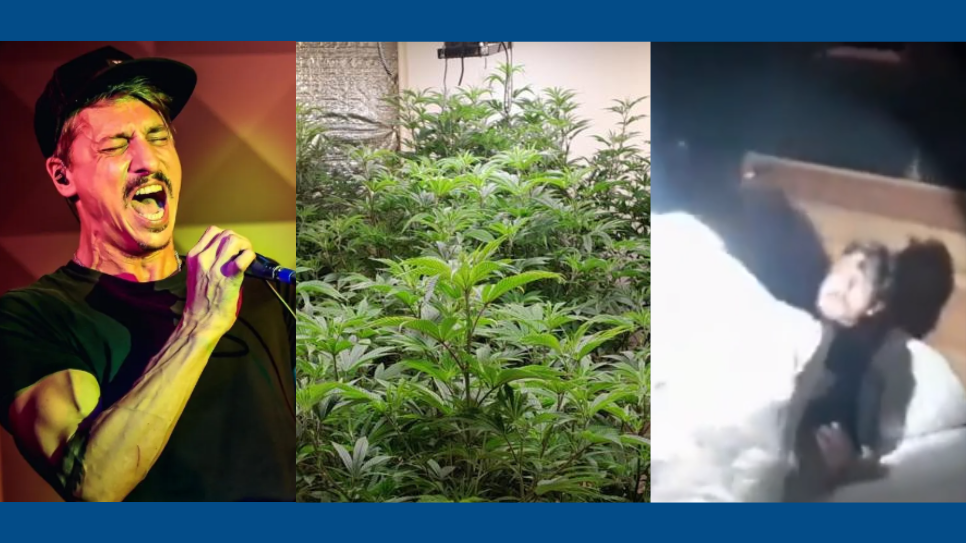 Justiça solta o vocalista Gustavo Fildzz, que mantinha 50 pés de maconha no litoral