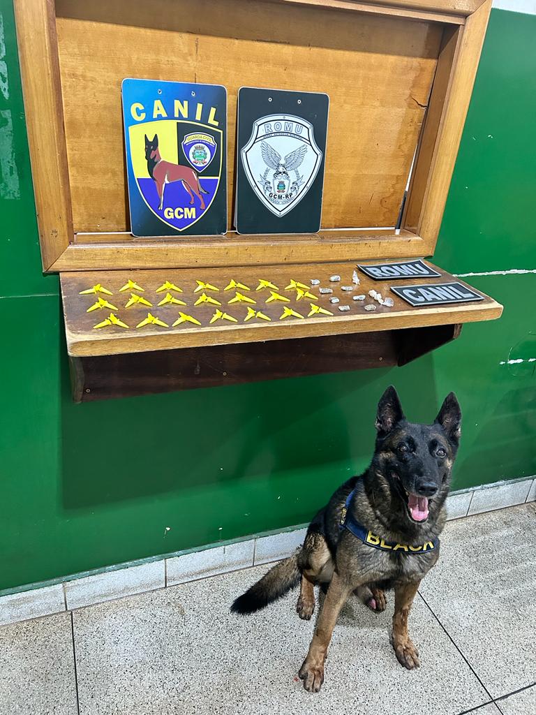 GCM aborda suspeito de tráfico de drogas que já havia sido preso 20 dias antes e foi solto na audiência de custódia