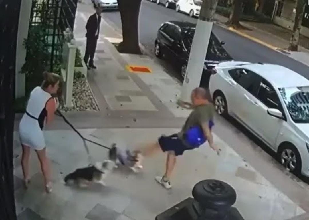 Polícia identifica homem suspeito de chutar irmã de Zanin, do STF; investigação diz que não houve motivação política