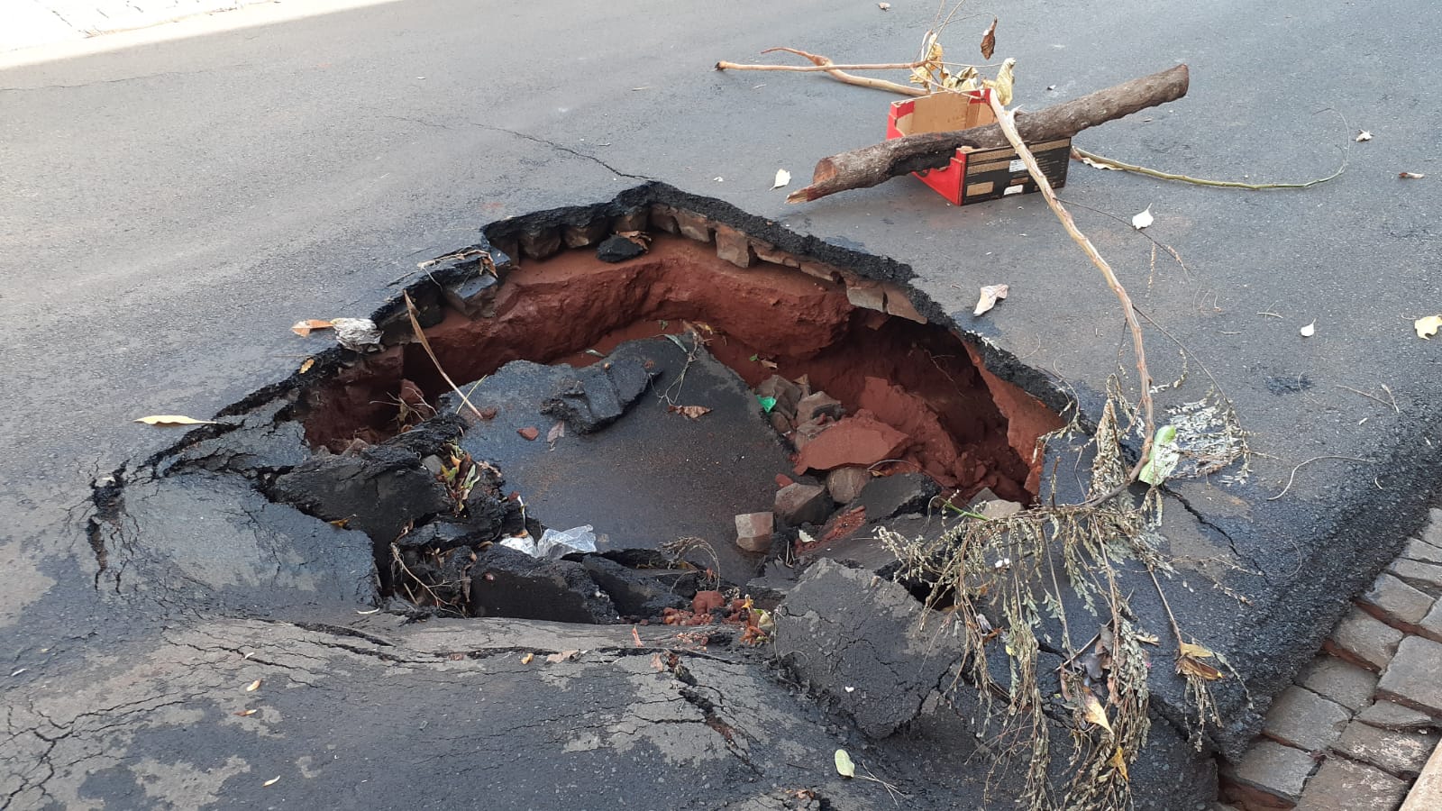 WhatsApp Image 2023-10-02 at 08.40.44