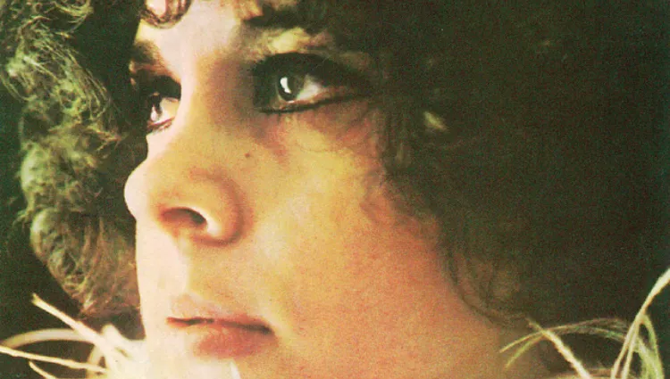 Gal Costa: como a artista virou a grande “Musa da Tropicália”