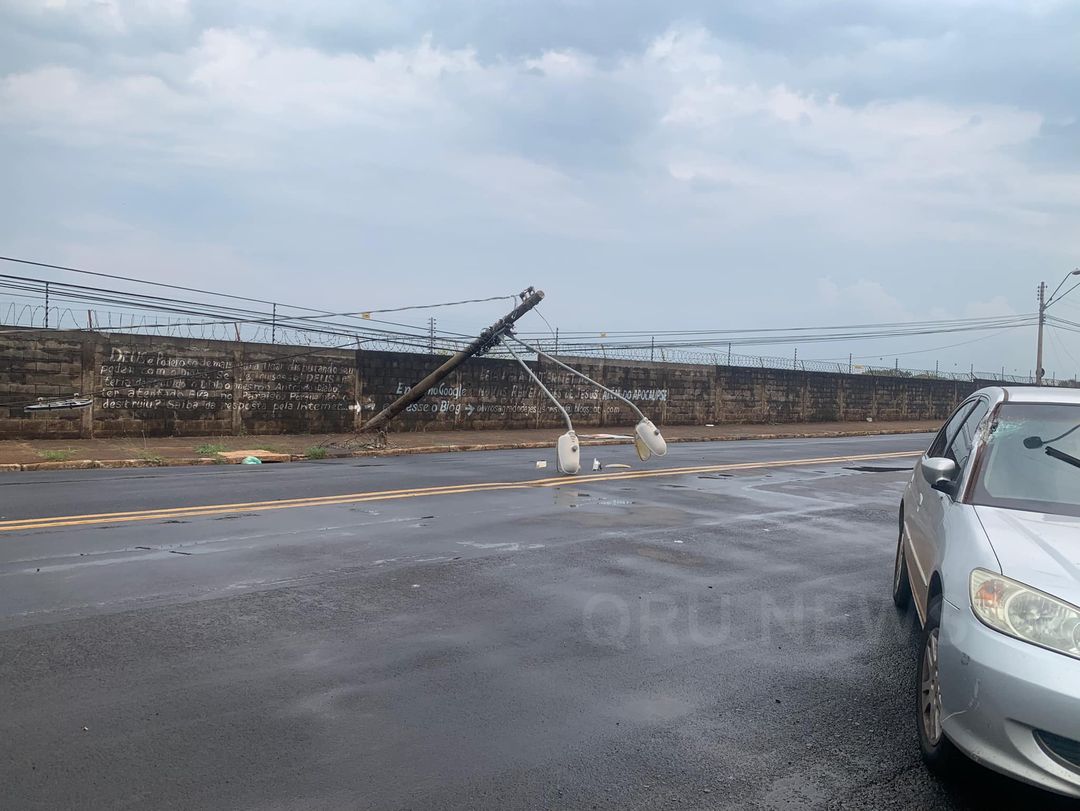 Vento forte derruba árvore sobre carro na avenida Brasil