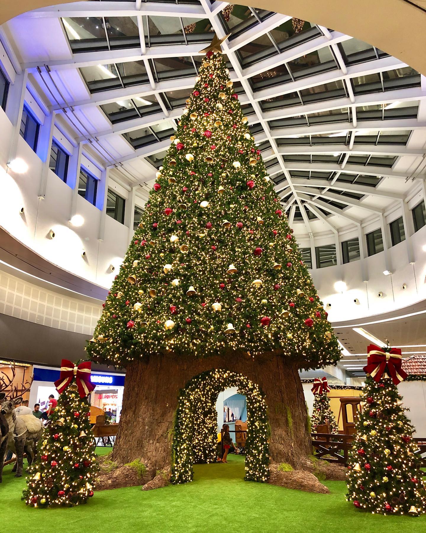 Shopping de São José abre 250 vagas temporárias para o final de ano