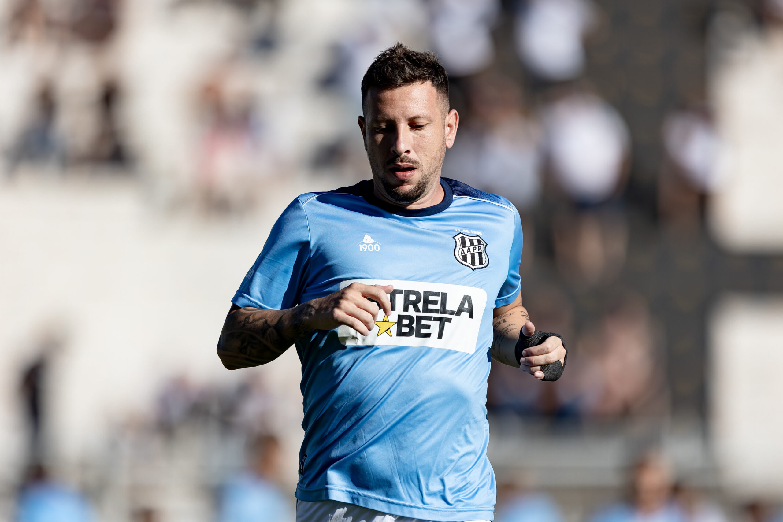 53313848166_11b52ea7fc_o