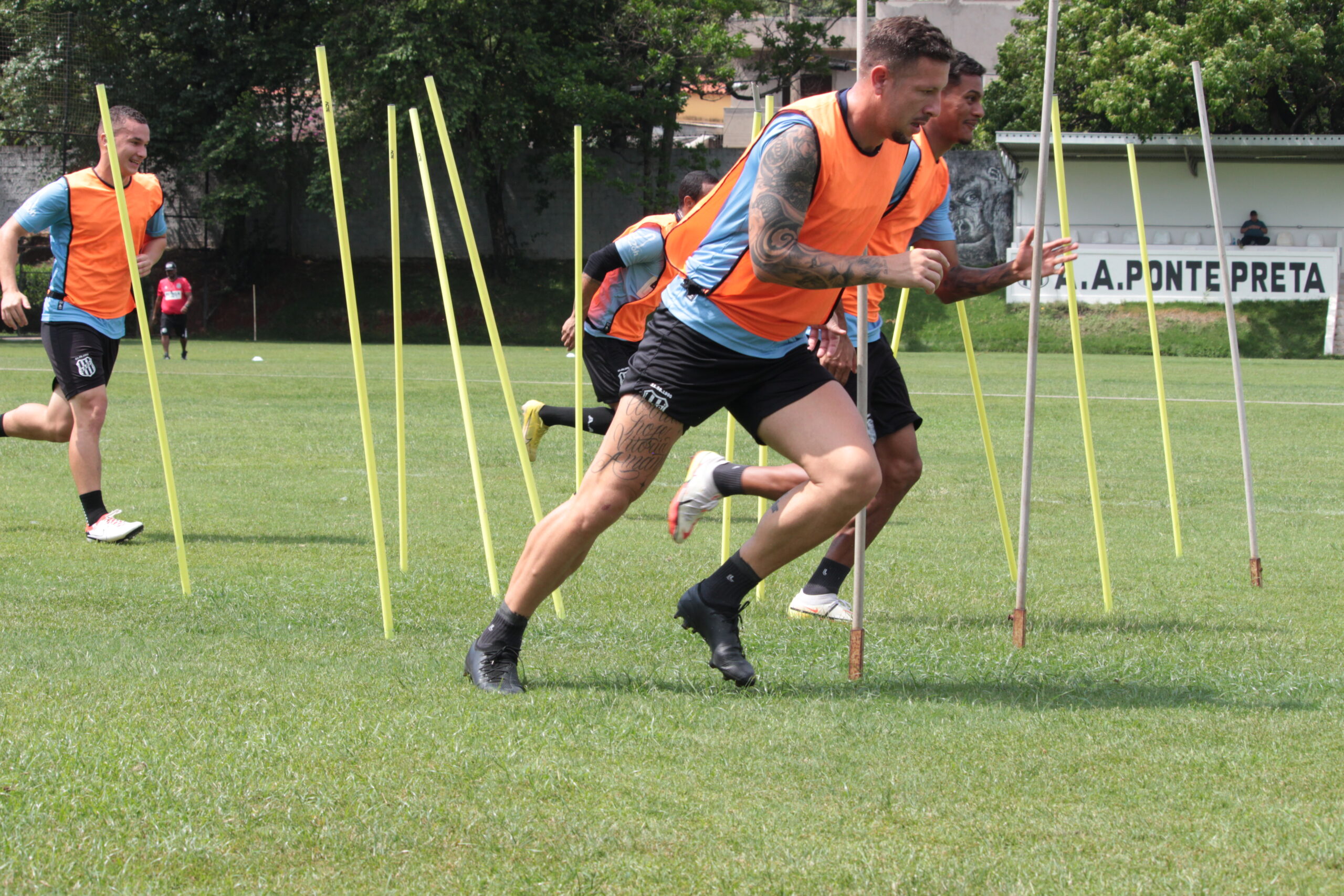 53349626978_1cffdd206a_o