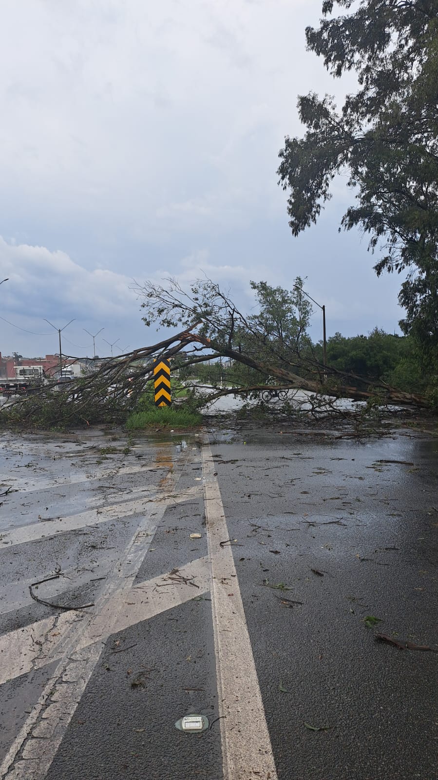☔Chuva atinge região e causa estragos; veja imagens