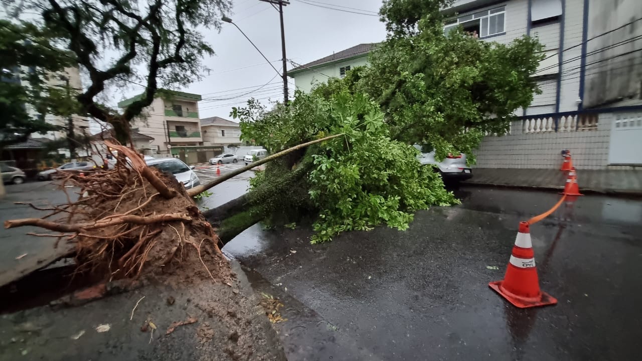 Baixada Santista pode ter sido atingida por furacão tipo 1, diz Defesa Civil