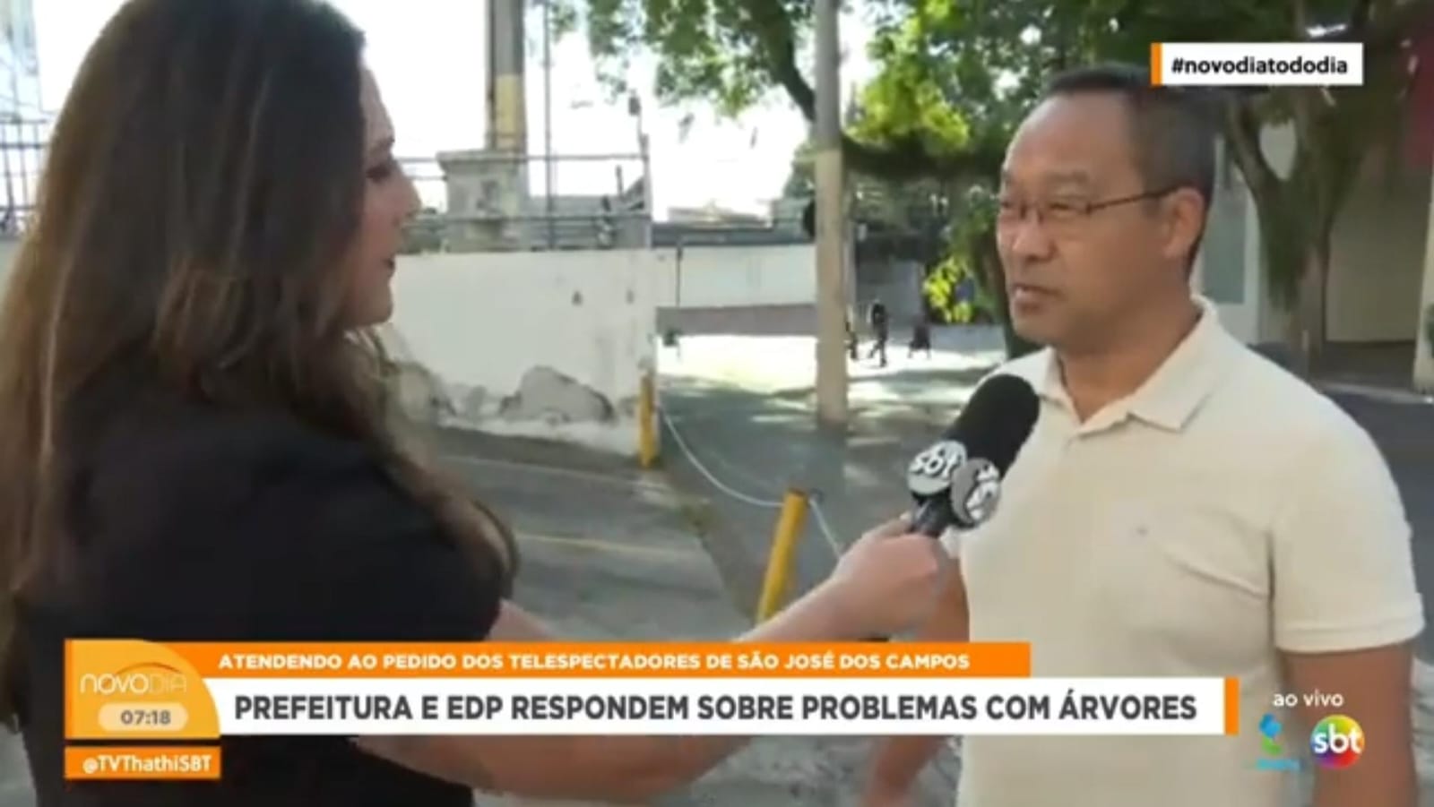 Quedas de árvores: veja orientações da Prefeitura de São José