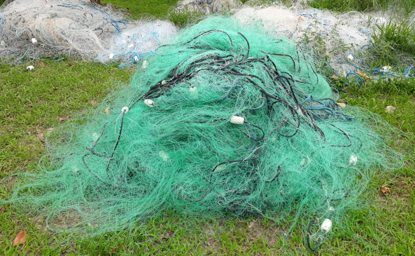 Homens são flagrados realizando pesca irregular em Praia Grande e levam multa de mais de R$ 4 mil