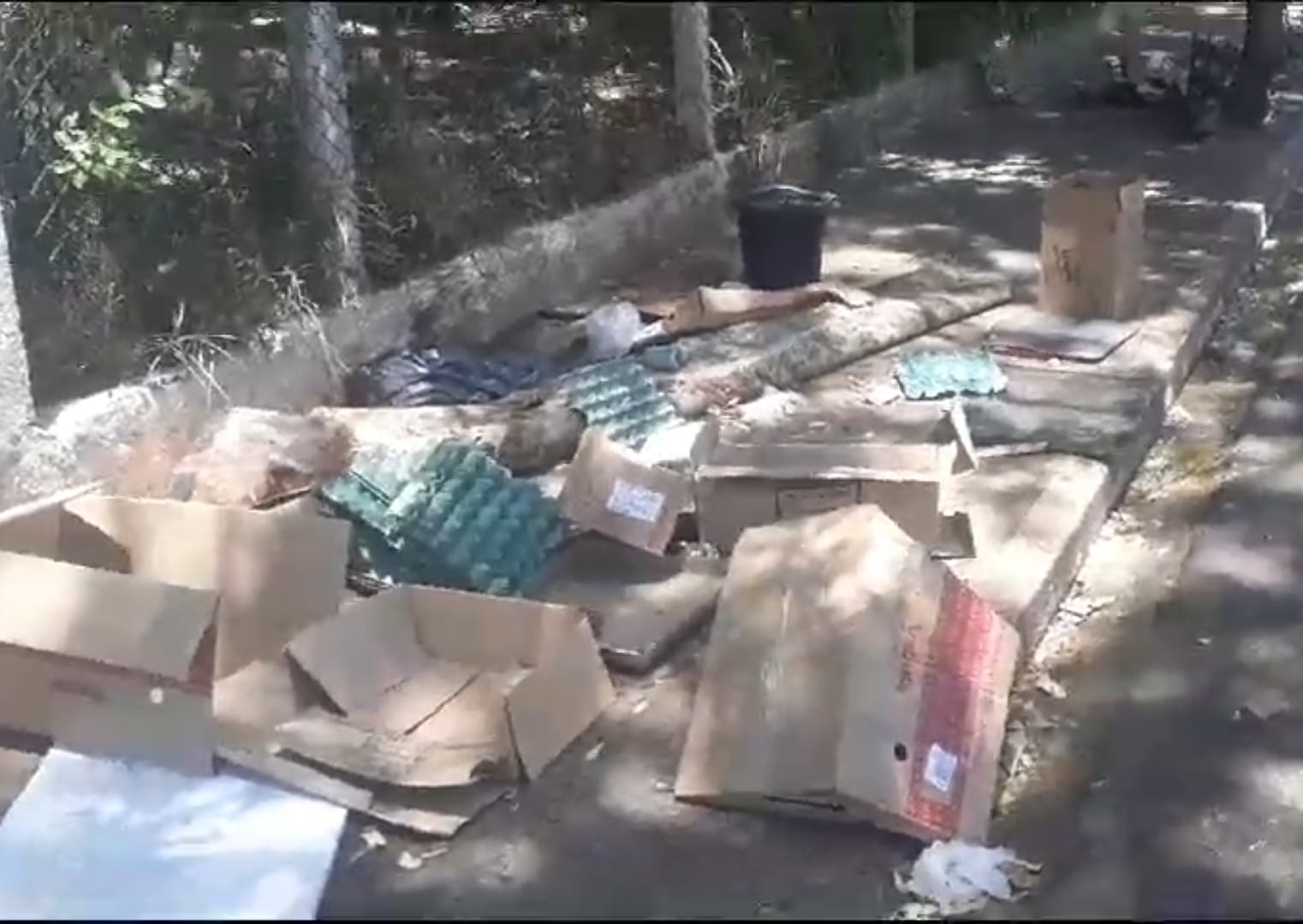 Membro do Clube da Árvore reclama de lixo em calçada em Araçatuba