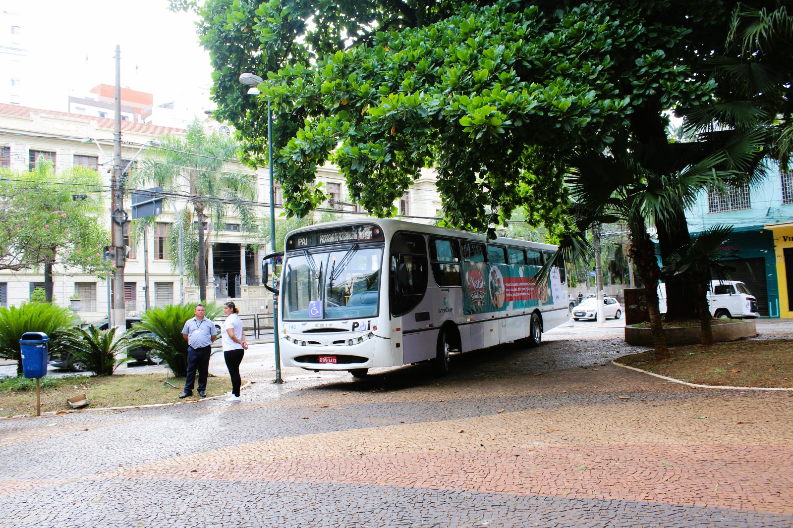 Começa hoje a Campanha Natal Solidário SetCamp 2023