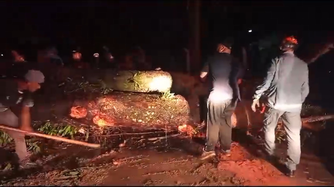 Quedas de árvores provocam interdições na rodovia Monteiro Lobato em São José