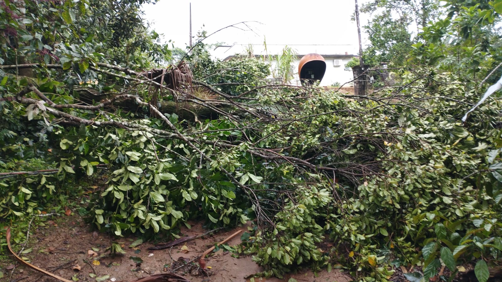 Chuva com fortes ventos causa estragos em Ubatuba
