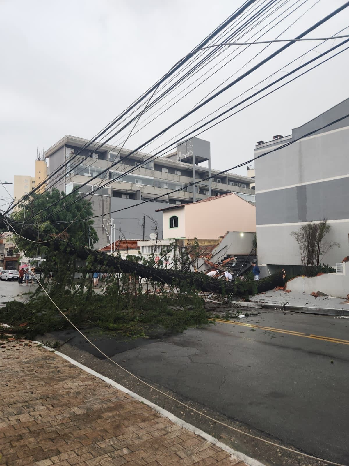 Nabil Bonduki: “taxa opcional para aterramento de fios vai aumentar desigualdade em SP”