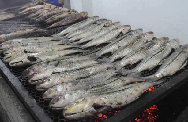 Festa da tainha de Cubatão é suspensa